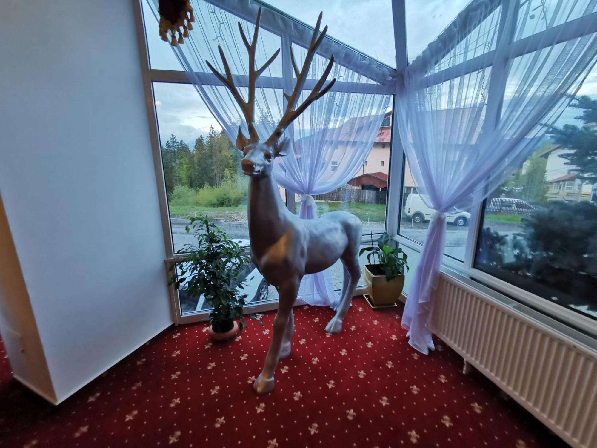 Atrium Panoramic Hotel & Spa Predeal Exteriér fotografie